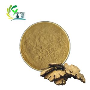 Grande 4:1 di approvvigionamento, 10:1, 20:1 Ligusticum Chuanxiong Hort estratto in polvere Szechwan levage rizoma estratto in tamburo - Product Image 1