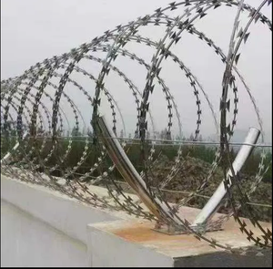 Clous anti-escalade en gros / Bobines de fil barbelé / Grillage en acier inoxydable galvanisé avec revêtement PVC certifié ISO9001 - Product Image 4