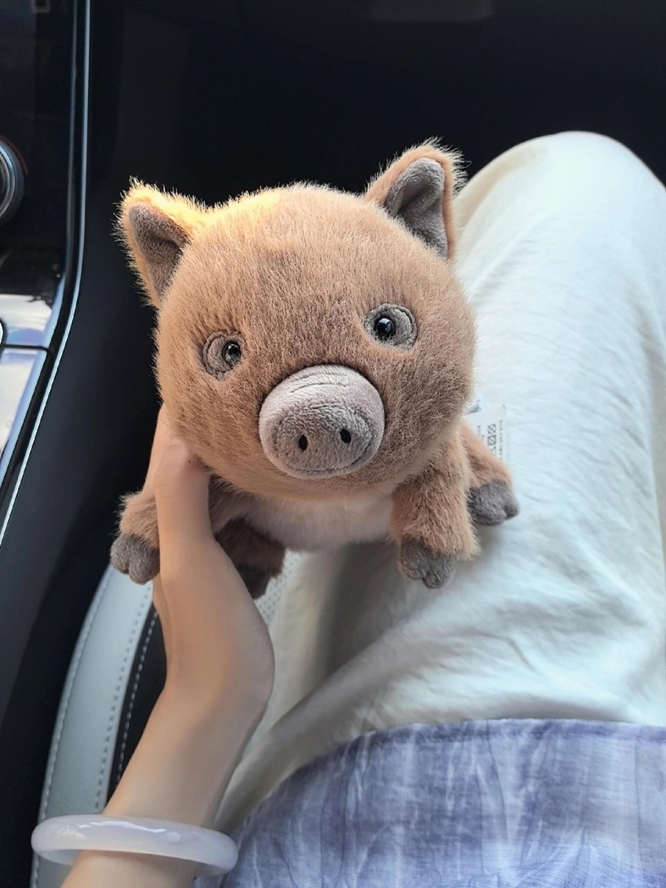 Wild boar 15cm