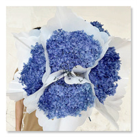Bunga Hydrangea Asli Awet Bentuk Bulat 20*20CM Grosir Pabrik Bunga Kering Abadi untuk Dekorasi Pernikahan dan Rumah, Pengiriman Lintas Negara