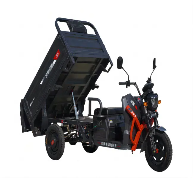 Cheap Price 1200W 3 Wheel Delivery 2 Seat Hub Motor Heavy Load Motorcycle Cargo Powerful Adult Rechargeable Electric Tricycle