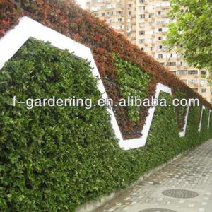 แผงปลูกต้นไม้แนวตั้งสำหรับสวนแนวตั้ง แผงผนังสีเขียวแบบโมดูลาร์พลาสติก แผงผนังสีเขียวแนวตั้ง - Product Image 4