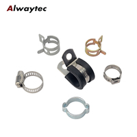 Colliers de serrage en métal zingué, clips à ressort réglables, colliers de serrage pour tuyaux, attaches pour tuyaux, polyvalents pour la connexion de conduites de carburant