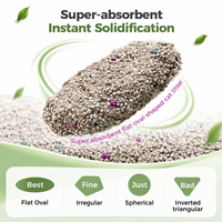 Litière pour chat en bentonite à marque privée disponible, forte absorption, faible poussière, contrôle des odeurs, sable naturel à haute absorption de sodium