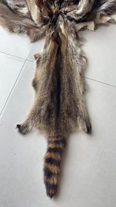 Fabbrica Cinese Vende <span class=keywords><strong>Pelliccia</strong></span> <span class=keywords><strong>Animale</strong></span> Naturale <span class=keywords><strong>di</strong></span> Alta Qualità <span class=keywords><strong>di</strong></span> Grandi Dimensioni, Inclusa <span class=keywords><strong>Pelliccia</strong></span> <span class=keywords><strong>di</strong></span> Procione <span class=keywords><strong>e</strong></span> <span class=keywords><strong>Pelliccia</strong></span> <span class=keywords><strong>di</strong></span> Procione Nascosta - Product Image 4