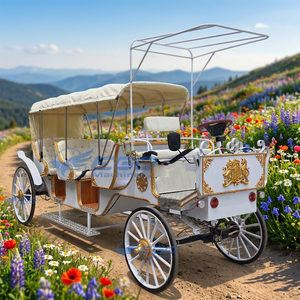 Carruaje Eléctrico de Princesa para Bodas y Turismo, Precio de Mayoreo de Fábrica, Transporte Especial en Venta - Product Image 6