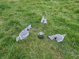 Unità di Movimento Rotatorio Triple Play per 3 Stampidi di Piccione - Product Image 3