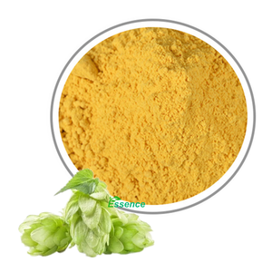 植物エキスホップ花エキス純粋なキサントフモール100% 天然パウダーCAS 6754-58-1 - Product Image 3