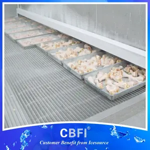 चिकन पैरों के लिए 1200 किग्रा/घंटा डबल स्पाइरल क्विक फ्रीजर मशीन