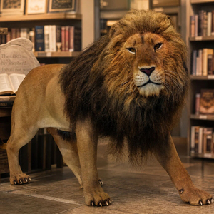 Statue de lion réaliste avec poils implantés à la main, collection de musée sur le thème de l'histoire <span class=keywords><strong>naturelle</strong></span>, à vendre - Product Image 2