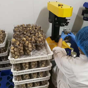 Ajo Negro Xuanyi (Forma de Bola) 250g - Empaque al Vacío para Regalo, Origen Shandong - Product Image 2