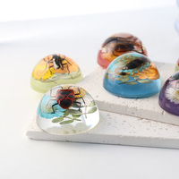 Véritable insecte de fleur dans la collection d'insectes de poids de papier de résine Kits de sciences éducatives spécimens d'insecte de fleur pour la décoration à la maison