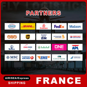 अप फेडेक्स डेल एक्सप्रेस डिलीवरी फास्ट लॉजिस्टिक सर्विस फ्रेट फारवर्डर समुद्र/एयर डाम्प पेशेवर शिपिंग एजेंट दरवाजे से दरवाजे तक - Product Image 3