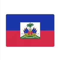 Tapis de sol en caoutchouc polyester avec drapeau d'Haïti, 40x60cm, paillasson rectangulaire antidérapant pour l'entrée de la cuisine, décoration de la maison