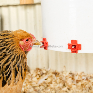<span class=keywords><strong>Bebedero</strong></span> automático para pezones <span class=keywords><strong>de</strong></span> pollo fabricado con alta calidad para <span class=keywords><strong>gallinas</strong></span> y aves <span class=keywords><strong>de</strong></span> corral Diseño <span class=keywords><strong>de</strong></span> pezones horizontales - Product Image 6