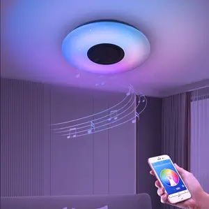 Bedroom Smart Blue Tooth Control Music Lamp 24w 36w Dimming Acrylic Round Ultra Slim RGB Led Ceiling Light