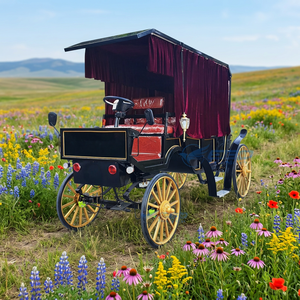 Chariot de chevaux touristique de type canopy pour mariages, chariot électrique à chevaux, capacité 6 personnes, chariot classique en acier Q235B - Product Image 1