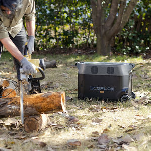 Eco Fluxos DELTA Pro + três 400W Painel Solar DELTAPro-400W-US Portable Power Station Lithium Ion MPPT Jump Starter - Product Image 6