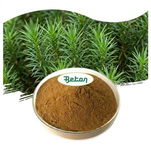 Extracto de Hoja de <span class=keywords><strong>Huperzia</strong></span> <span class=keywords><strong>Serrata</strong></span> 1% Huperzina-A 1% HPLC Huperzina A CAS 102518-79-6 Polvo Marrón (Envío desde Almacén en EE. UU.) - Product Image 1