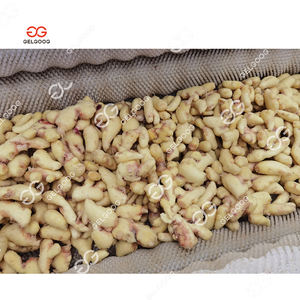 Máquina secadora de jengibre de escala media con Control Digital Industrial de fabricación turca, <span class=keywords><strong>patatas</strong></span>, hierbas, corte, secado, componentes de núcleo de Motor PLC - Product Image 4