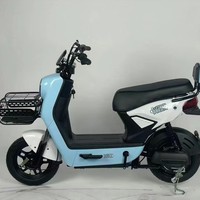 Vélo électrique populaire en Amérique du Sud, modèle 48V, biplace pour adultes, avec moteur électronique sans balais à moyeu arrière haute vitesse, personnalisé en usine