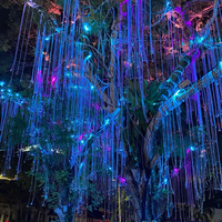 Kit d'éclairage LED à fibres optiques pour arbre d'extérieur, type saule, pour décoration extérieure