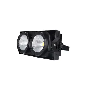 Freies verschiffen für bühne ereignis DMX Control 2 Augen Led Publikum Blinder 2x100w weiß und warme farbe bühne blinder licht