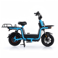 Sepeda Listrik Kurir Tugas Berat dengan Rangka Aluminium, Modul Motor Tanpa Sikat, Pengontrol, Skuter Pengantar Barang 25kmh GPS
