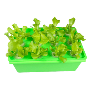 Petits kits de culture hydroponique écologiques en plastique PP, pots carrés à 12 trous, style ferme, pour <span class=keywords><strong>la</strong></span> maison <span class=keywords><strong>et</strong></span> <span class=keywords><strong>le</strong></span> jardin, intérieur/extérieur - Product Image 3