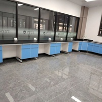 Tables de travail de laboratoire modernes pour la chimie, bancs avec armoire de rangement, en acier et en bois, pour les écoles et les hôpitaux