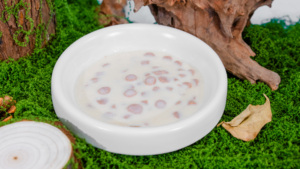 อาหารเปียกสำหรับสัตว์เลี้ยงยี่ห้อ FAENBEI บรรจุ 12 ซอง/กล่อง โปรตีนสูง แพ้ง่ายน้อย อาหารว่างสำหรับสัตว์เลี้ยง ชิ้นเนื้อสัตว์ นมแพะ สำหรับลูกแมว - Product Image 6