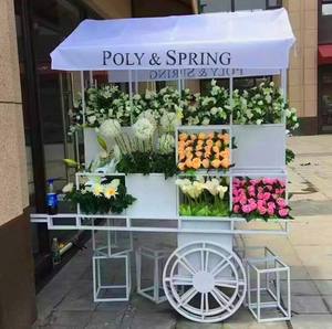 Evento Boda Jardín Decoración al aire libre Accesorio fotográfico Floristería Exhibición Soporte de flores Estante - Product Image 5