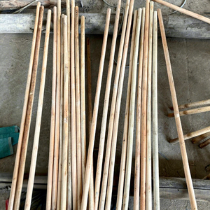 Manche de balai en bois d'eucalyptus naturel écologique de haute qualité, tête de balai en plastique durable, poils portables à dents, pour le nettoyage domestique - Product Image 4
