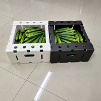 Boîte d'emballage écologique en plastique ondulé recyclable et imperméable pour okra, conteneur de récolte agricole en panneau alvéolaire PP empilable