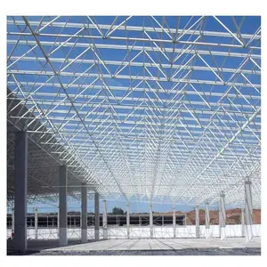 LF Prefab Steel Structure Function Hall Design Space Frame For Mall Roofs