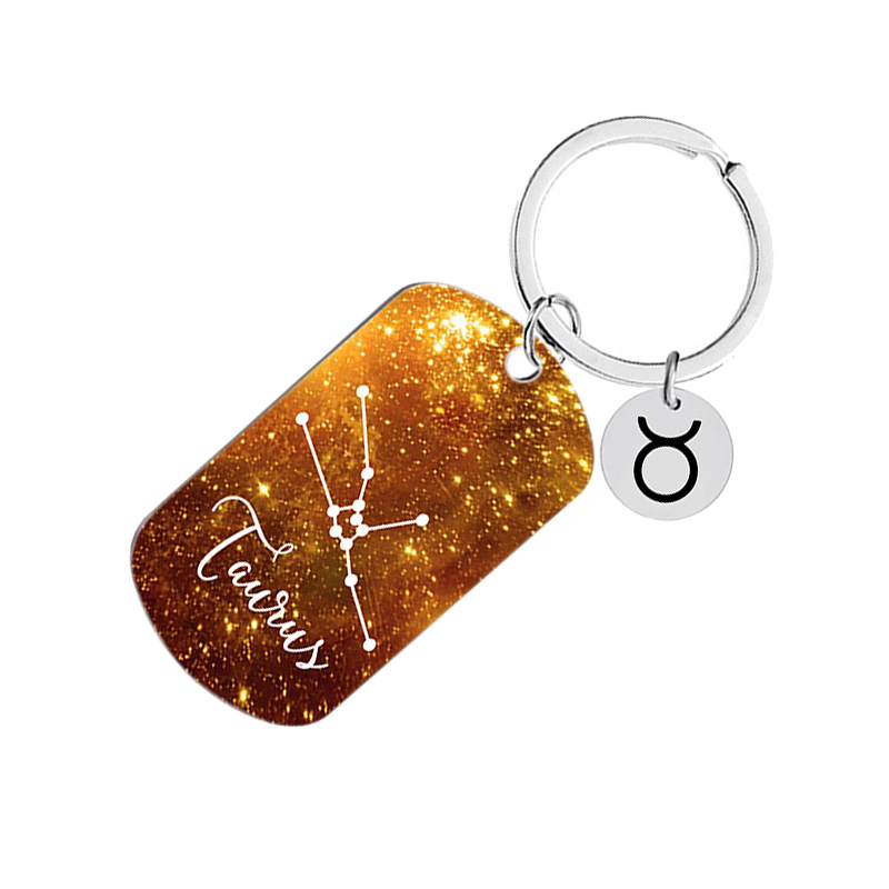 Capricorn cwy010 keychain silver