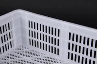 Caisse de transport d'oeufs de volaille petit canard pigeon Boîte de retournement d'oeufs de poulet pour usage agricole Équipement de transport de poussins en plastique