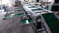 Boerderijgebruik RVS sorteermachine kastanje sorteermachine gatband type champignon sorteermachine
