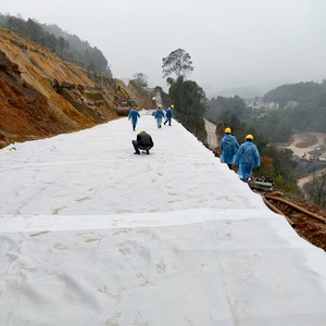 Geo dệt vải địa kỹ thuật vải địa kỹ thuật vải địa kỹ thuật chống UV Polyester Filament kim đấm - Product Image 3