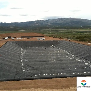 Không thấm nước <span class=keywords><strong>HDPE</strong></span> <span class=keywords><strong>geomembrane</strong></span> tấm cho các dự án bảo tồn nước thủy lợi kênh nước hồ chứa đập cá trang trại ao lót 1mm - Product Image 3