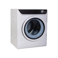 Sèche-linge mural 6 kg à économie d'énergie pour appartement compact – Entretien des tissus