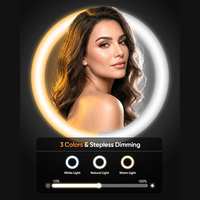 Desimy DM01 Cermin Rias Lipat Berlampu dengan Ketinggian & Sudut yang Dapat Disesuaikan, Kaca Pembesar 1X/10X, Sakelar Layar Sentuh