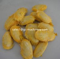 Automatische Mango Pulper, Mango Blackberry Pulp Extractie Machine, Mango Tomaat Plakken Verwerking Lijn