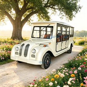 Mejor Precio, Vehículo Turístico Eléctrico Clásico Blanco para 11 Pasajeros, Auto Retro Vintage para Turismo con Batería de Litio - Product Image 1