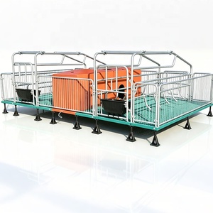 Équipement d'élevage porcin : <span class=keywords><strong>Lit</strong></span> de maternité européen <span class=keywords><strong>pour</strong></span> truies, <span class=keywords><strong>lit</strong></span> de mise bas double, incubateur <span class=keywords><strong>pour</strong></span> porcelets / Cages de mise bas <span class=keywords><strong>pour</strong></span> porcherie - Product Image 1