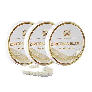 Premium translúcido dental zircônia em branco para CAD CAM fresadora: coroa, pasta de polimento e preço competitivo incluído
