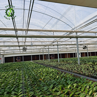 Le nouveau verre de serre agricole Venlo équipé de systèmes de culture hydroponique aéroponique bricolage
