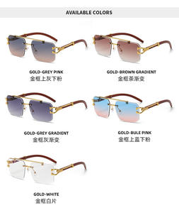 Nouvelle mode léopard lunettes de soleil carré rétro Vintage Double pont sans monture hommes femmes lunettes de soleil 2024 - Product Image 6