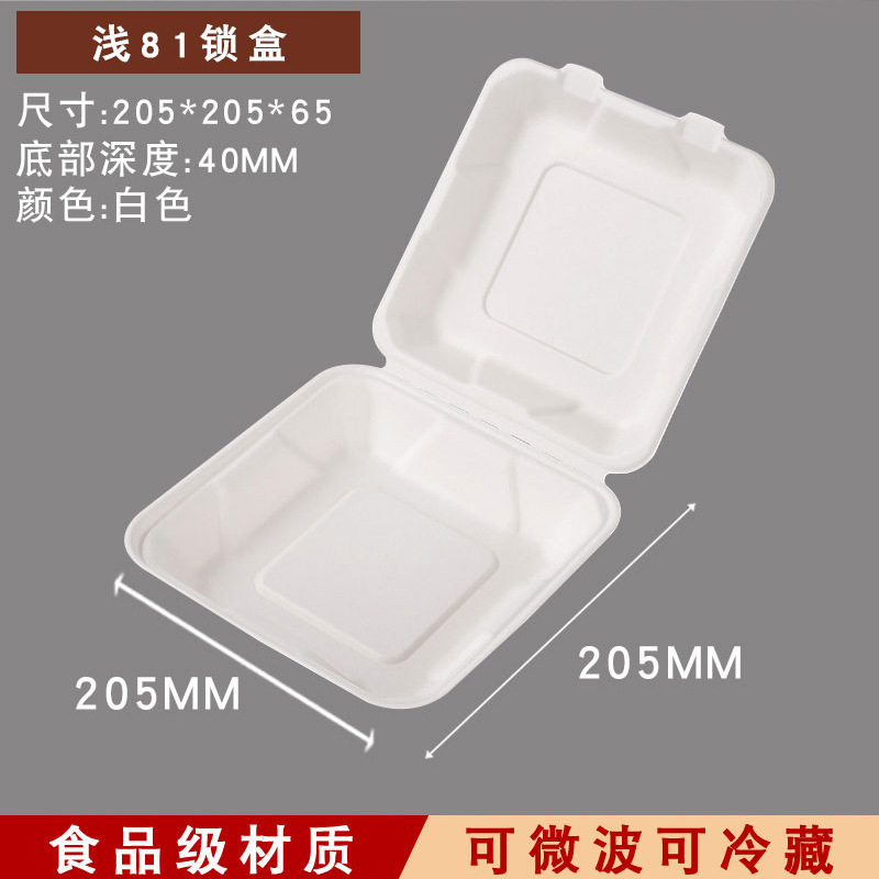 Shallow 81 Lock Box