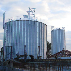 Nuovo Silo a Fondo Piatto con Capacità 1000-15000 Tonnellate Costruzione Zincata Certificato ISO9001 CE per Stoccaggio Grano - Product Image 3